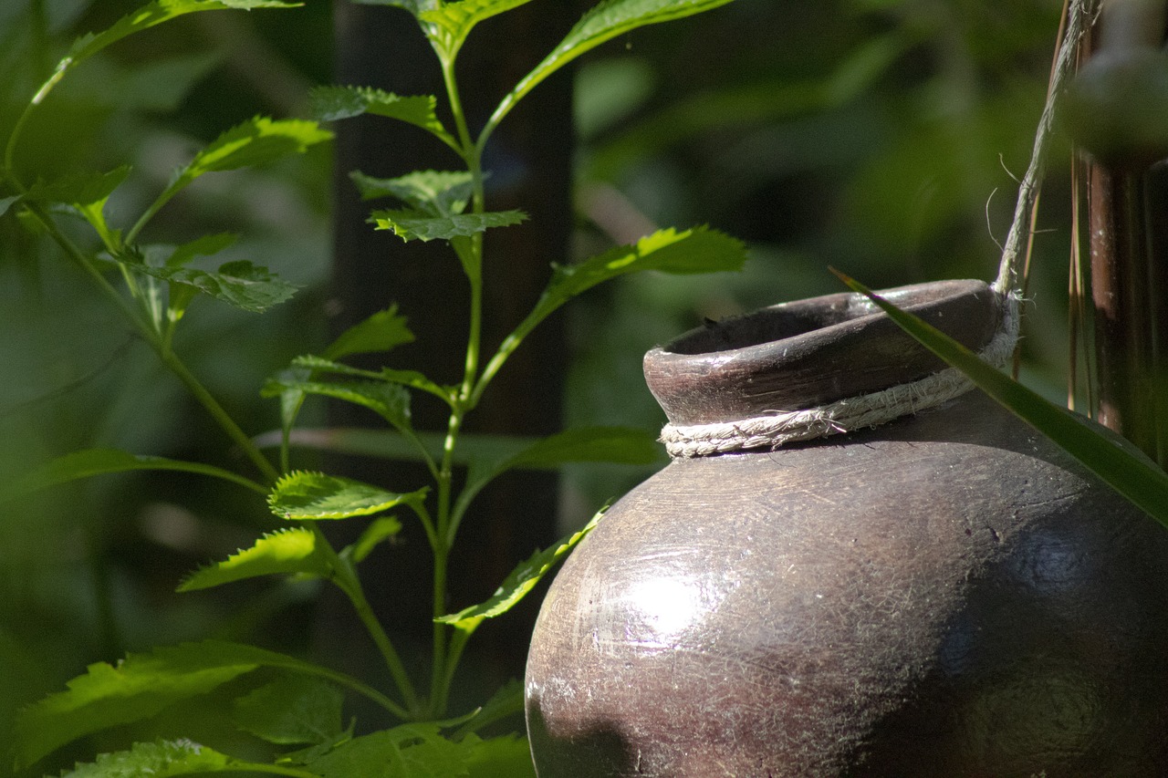 The Cultural Significance of Pottery in Native American Societies